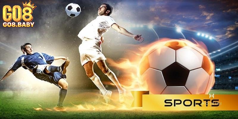 Giới thiệu sơ lược về danh mục thể thao Go8