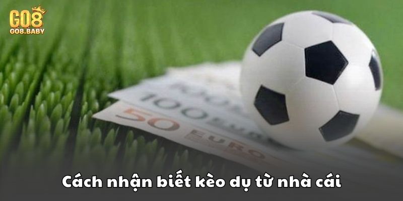 Hướng dẫn người chơi cách nhận biết kèo dụ từ nhà cái