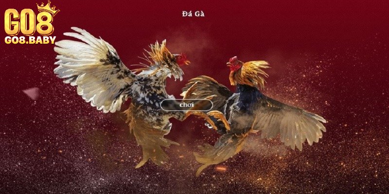 Khái quát về đá gà trực tuyến