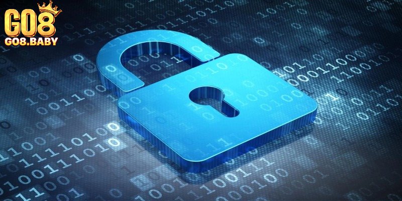 Tổng hợp quy định bảo mật an toàn thông tin hội viên