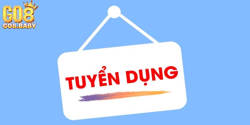 Vì sao tuyển dụng Go8 hấp dẫn?